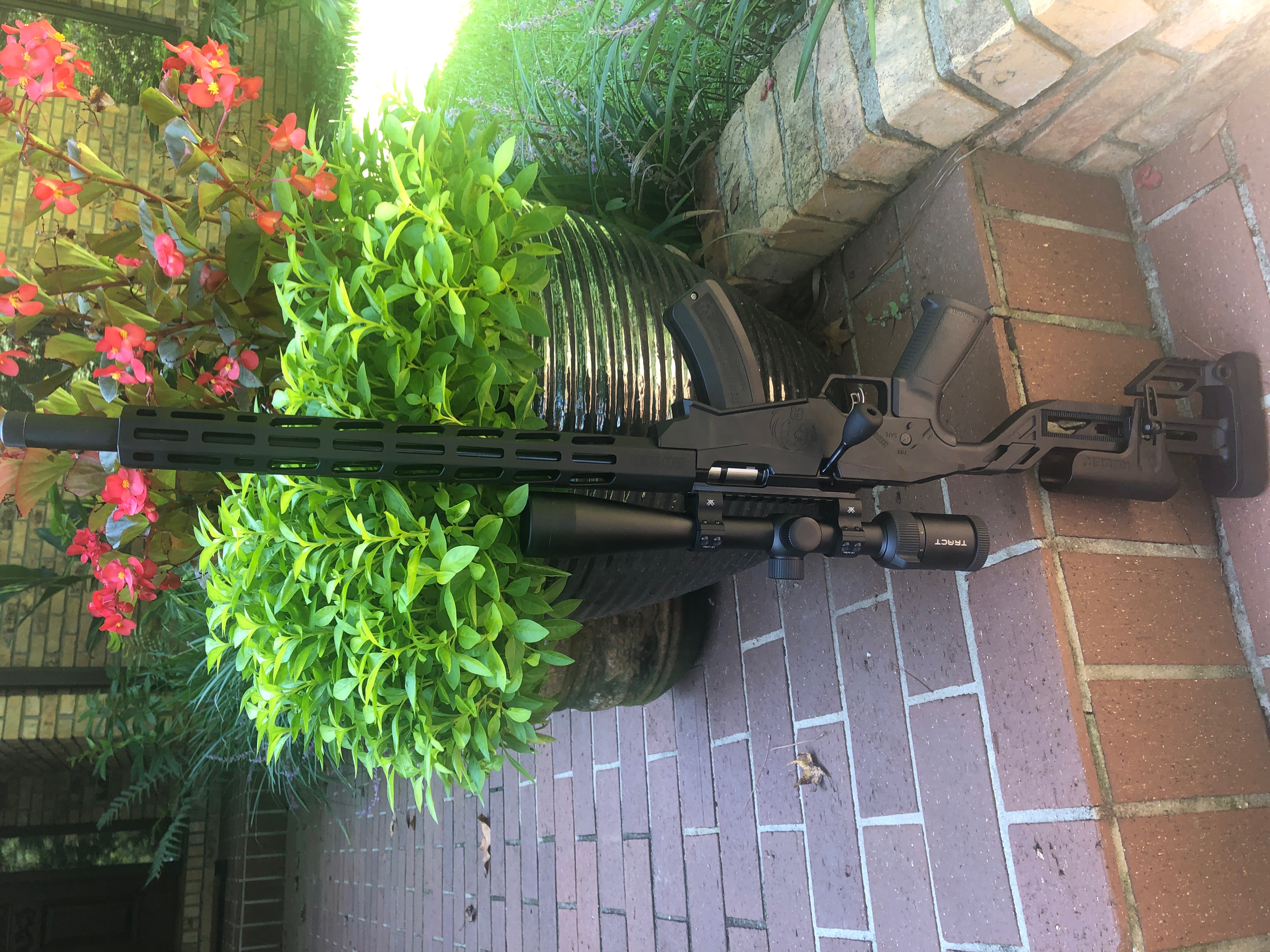Ruger Precision .17HMR-1.JPG