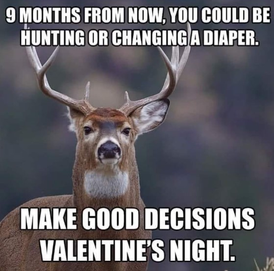 Screenshot 2024-01-19 080136.jpg