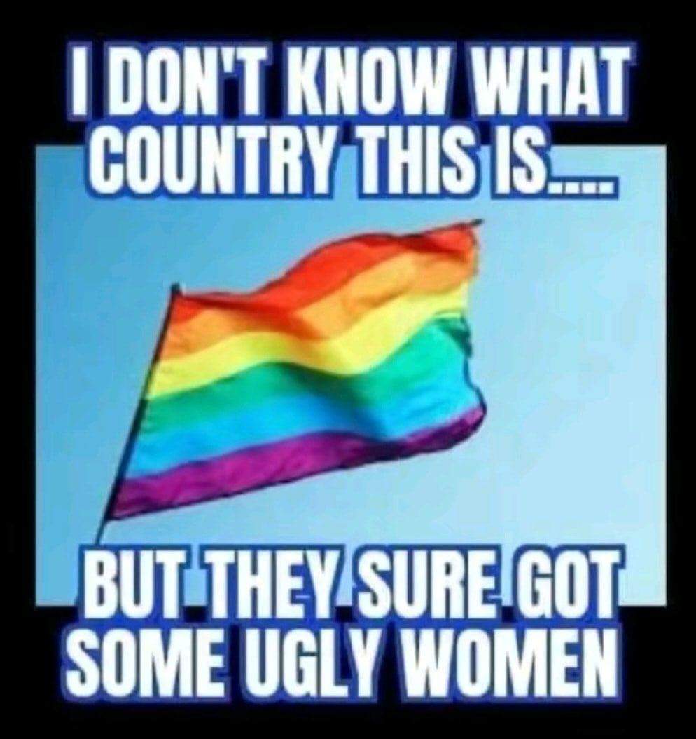 FB_IMG_1687820388450.jpg