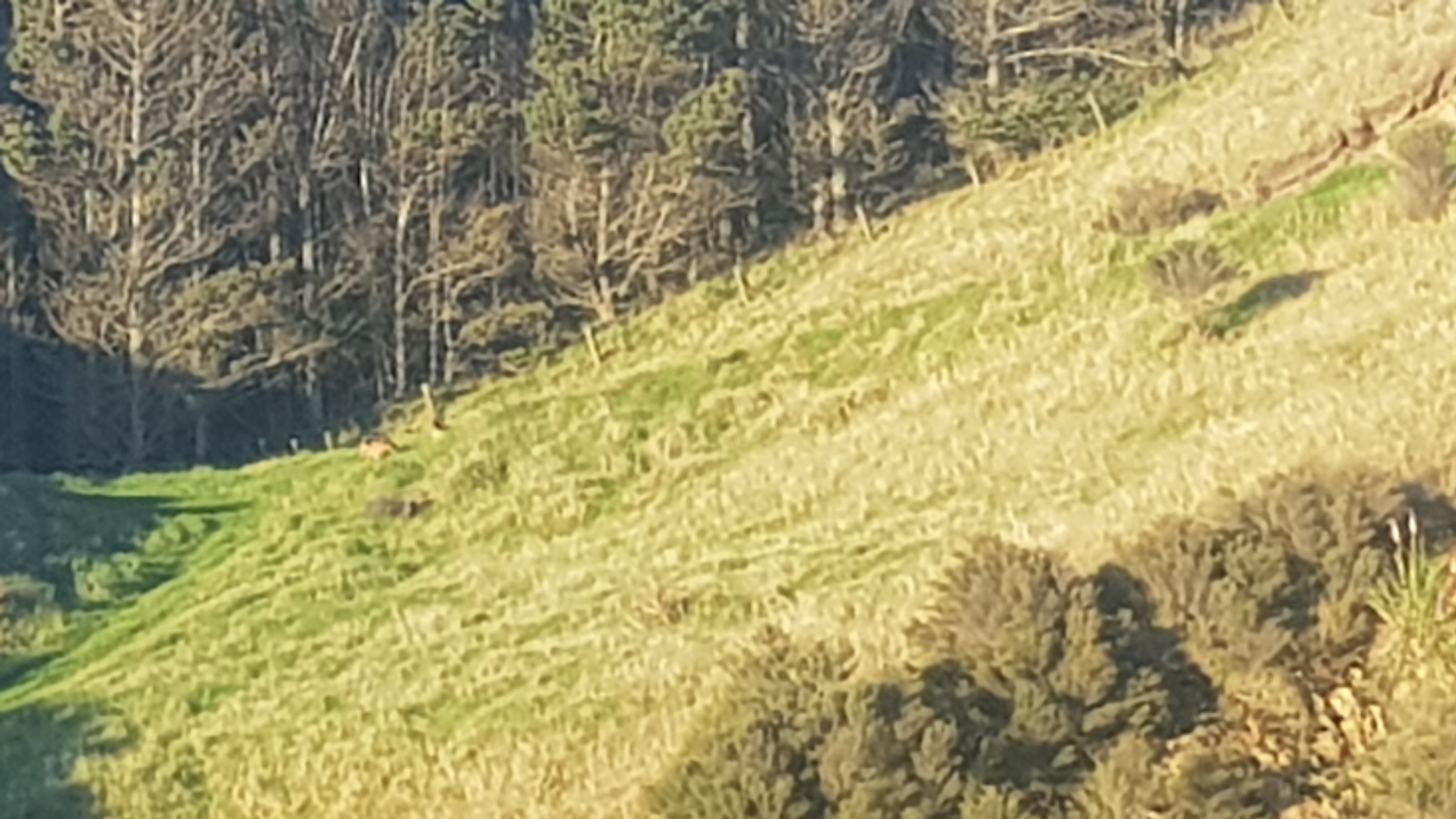20240320_185805.jpg
