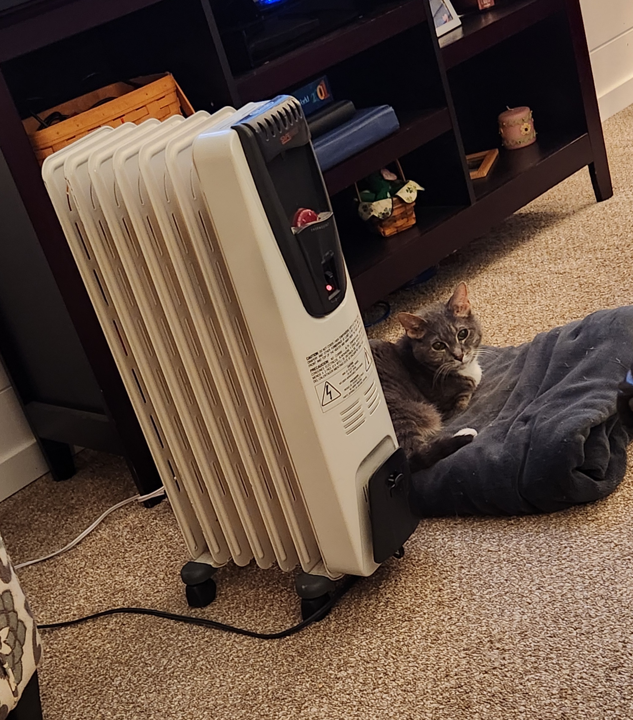 20240323_210311.jpg