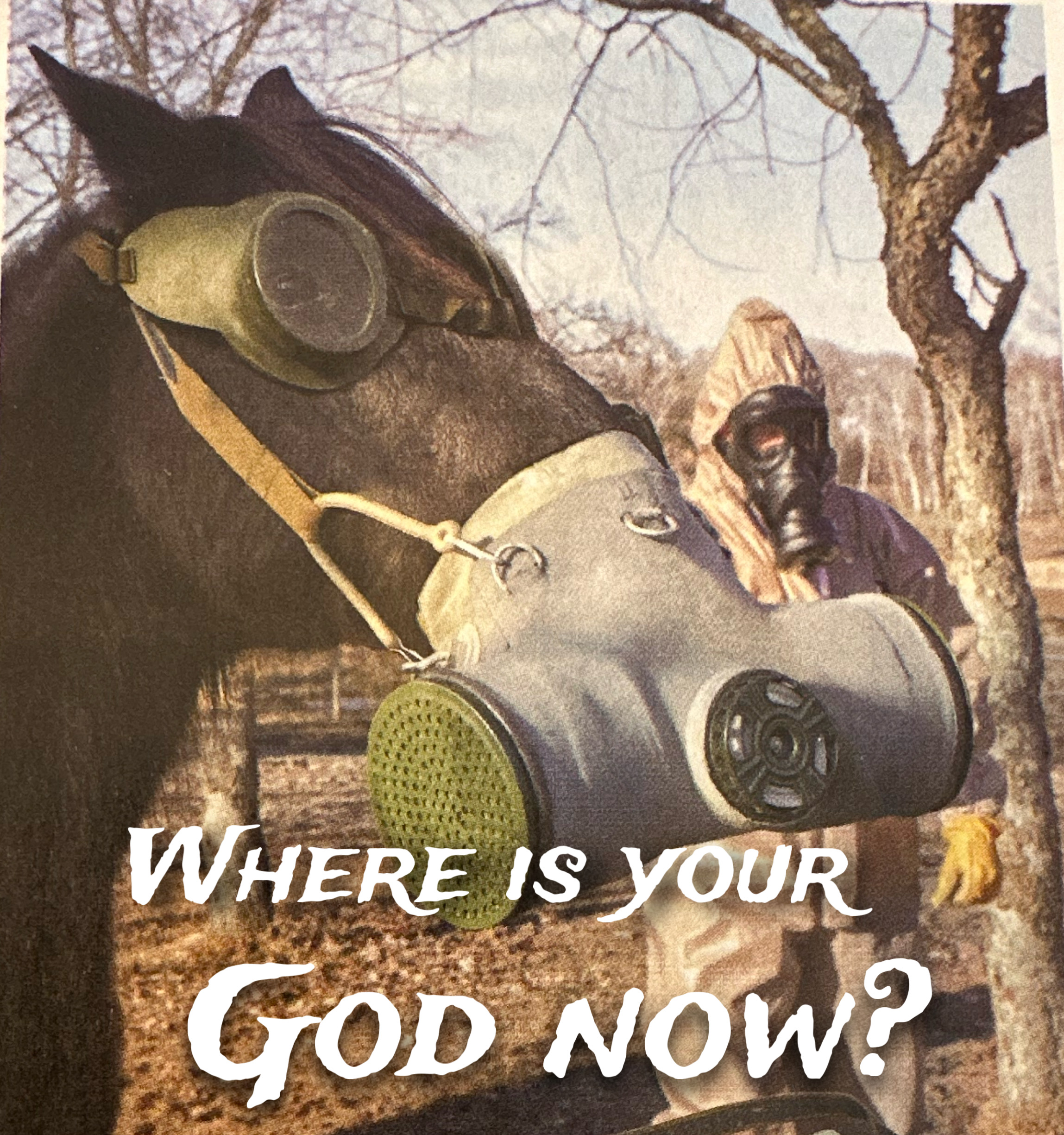 06A115DF-5AD2-4454-AF41-D1CE4359973B.jpeg
