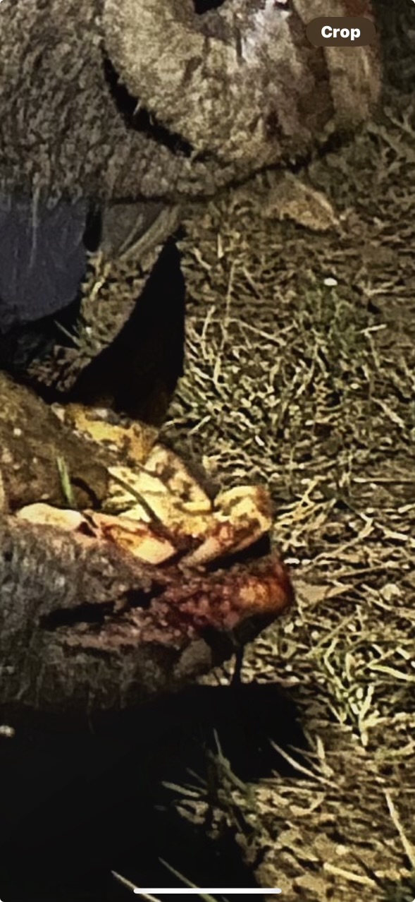 View recent photos.jpeg