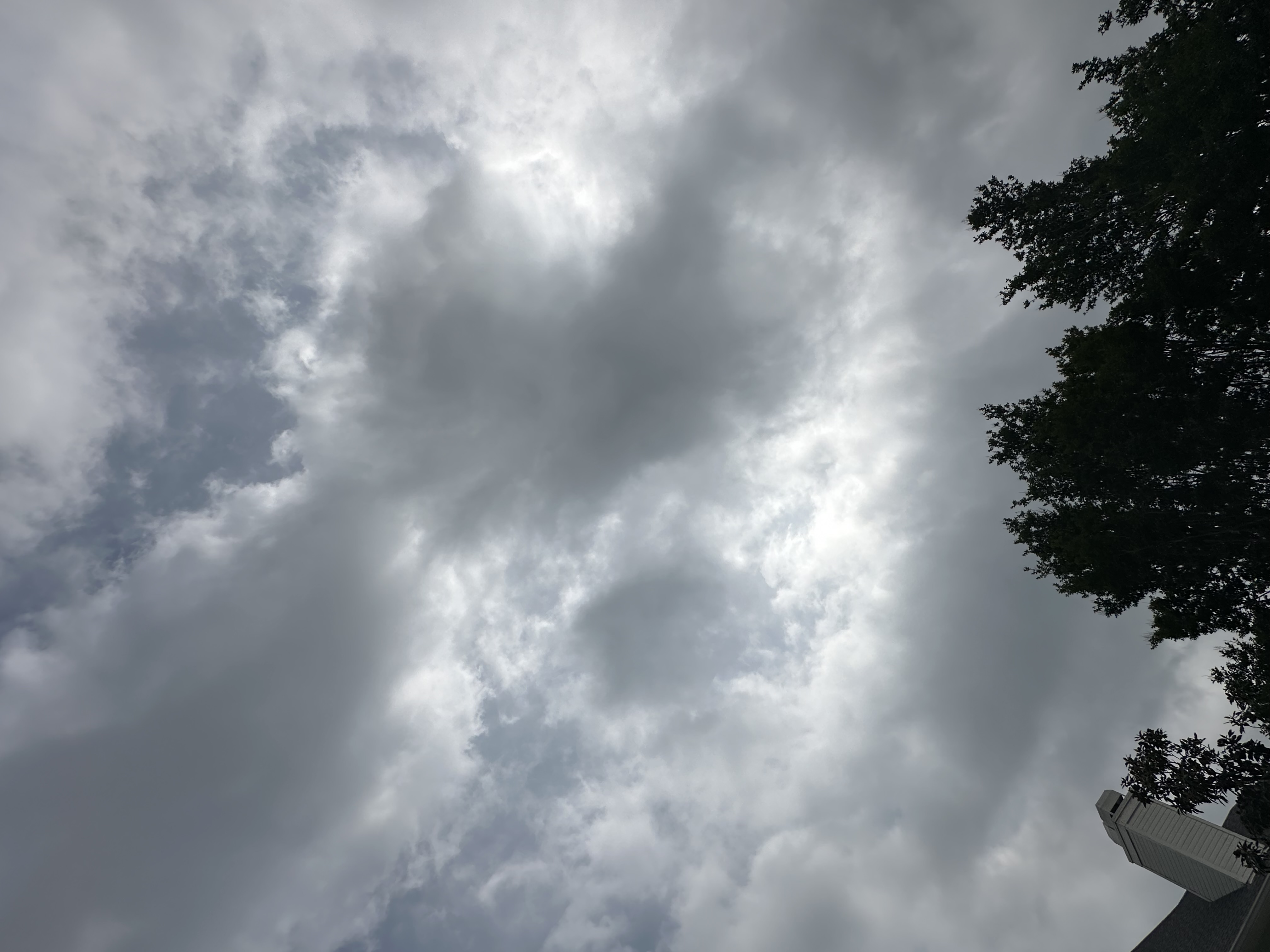 IMG_9607.jpeg