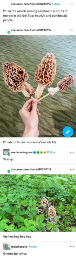 A35573FE-CE2E-4CE1-ACCF-02D88A471CA5.jpeg