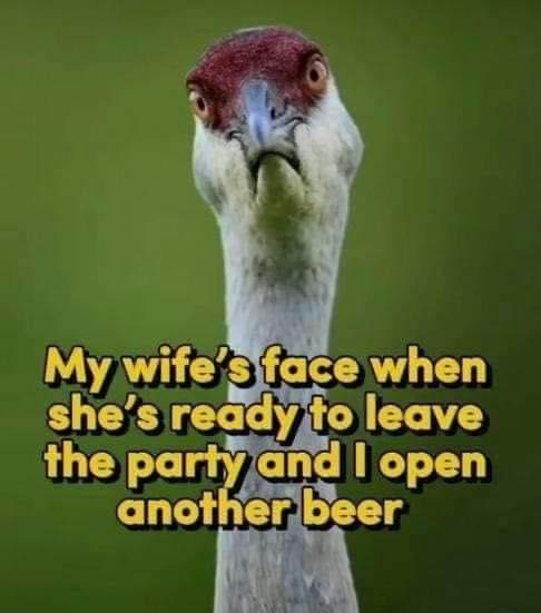 IMG_7320.png