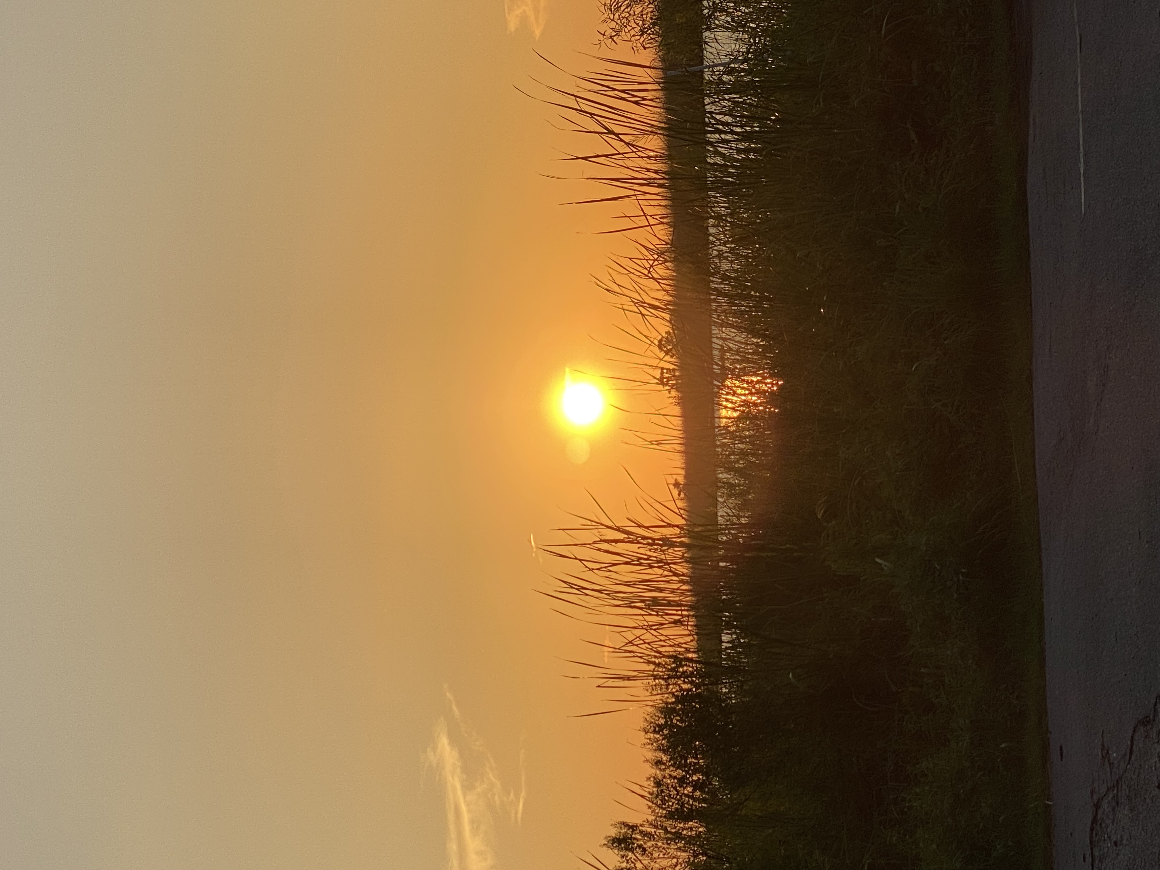 IMG_2433.jpeg