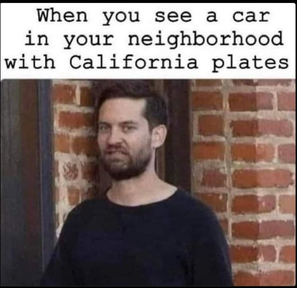 B5D2A9E2-D004-466B-BE59-15FA55A1361A.jpeg