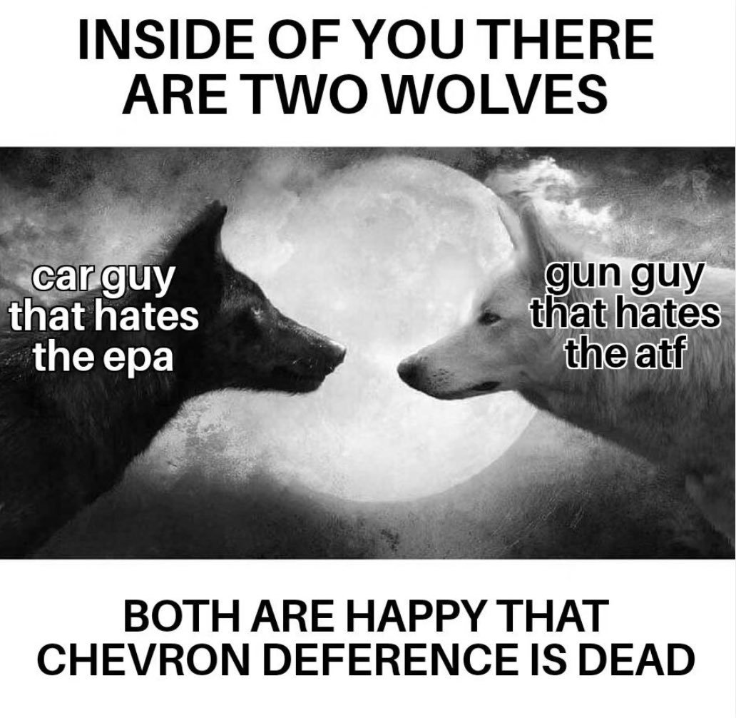 CF50E619-89A2-4D3D-BC8C-EE9E0E9B403F.jpeg