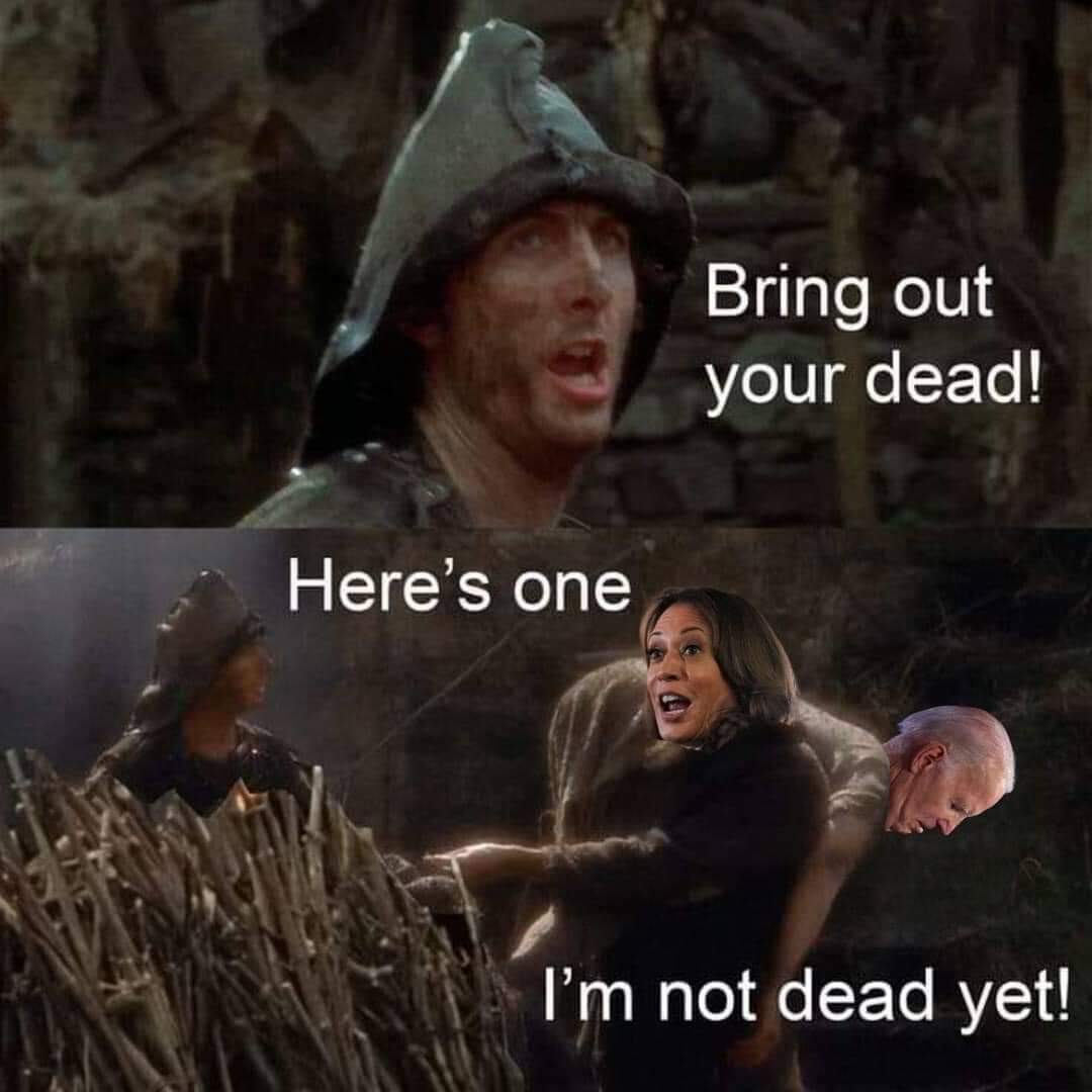 FB_IMG_1721867165392.jpg