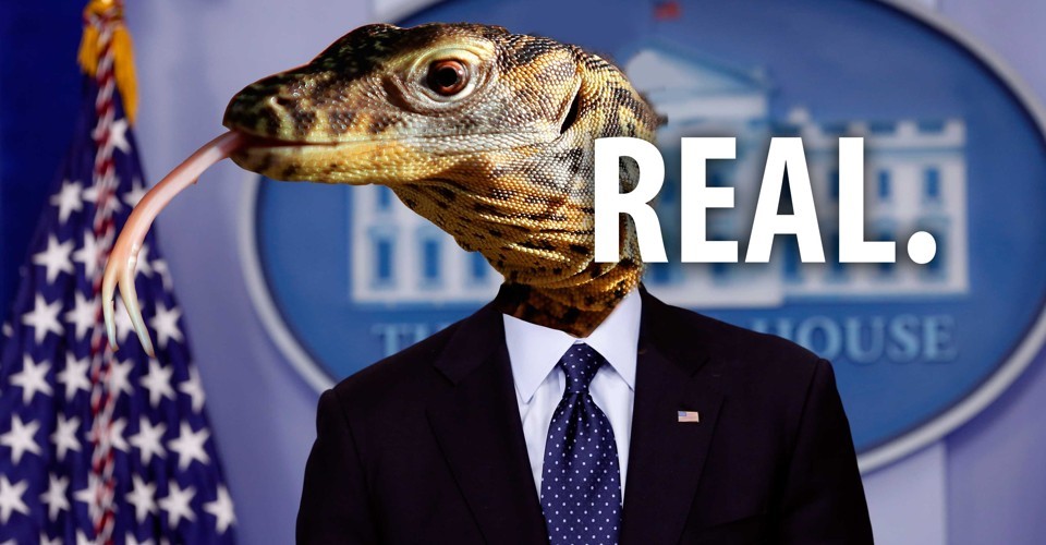 Lizard Prez.jpeg