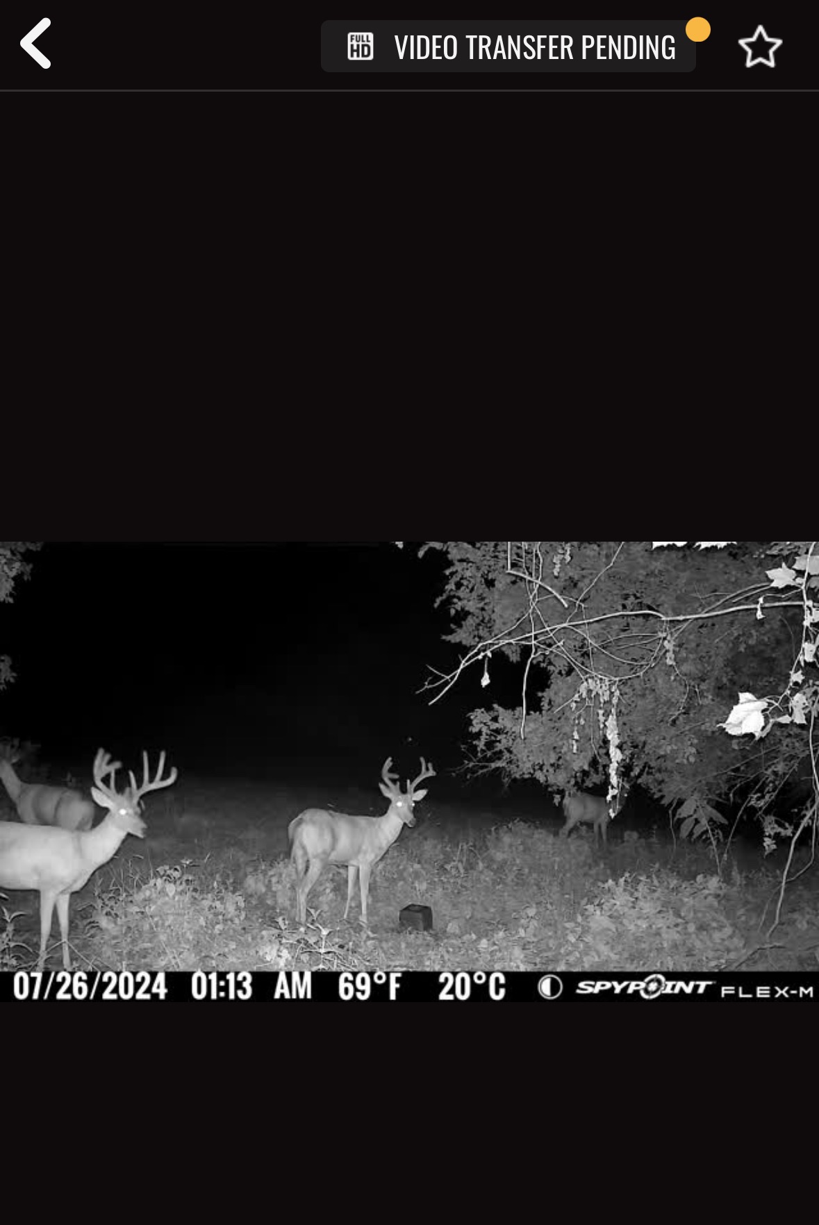 Screenshot 2024-07-26 at 6.16.57 AM.jpeg