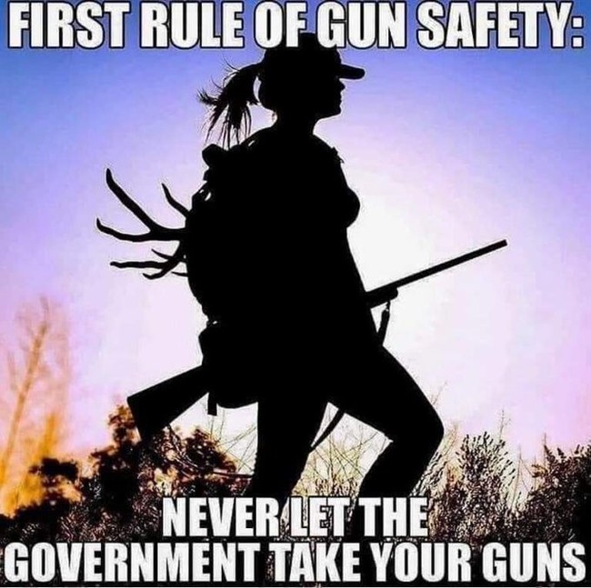 Guns.jpeg