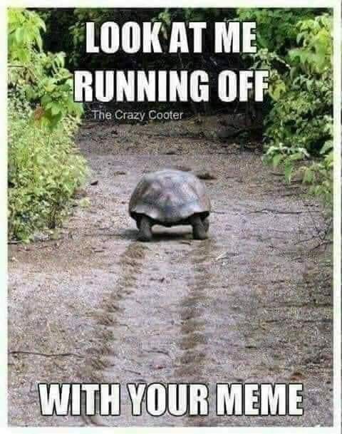 running.jpg