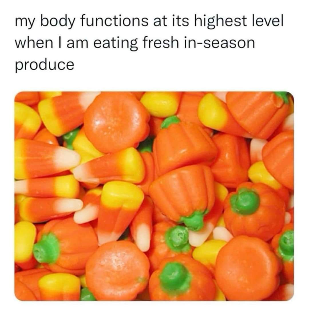 FB_IMG_1726104180910.jpg