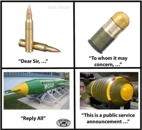 501.jpg