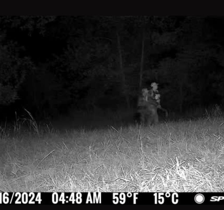 Screenshot 2024-09-16 at 6.10.10 AM.jpeg