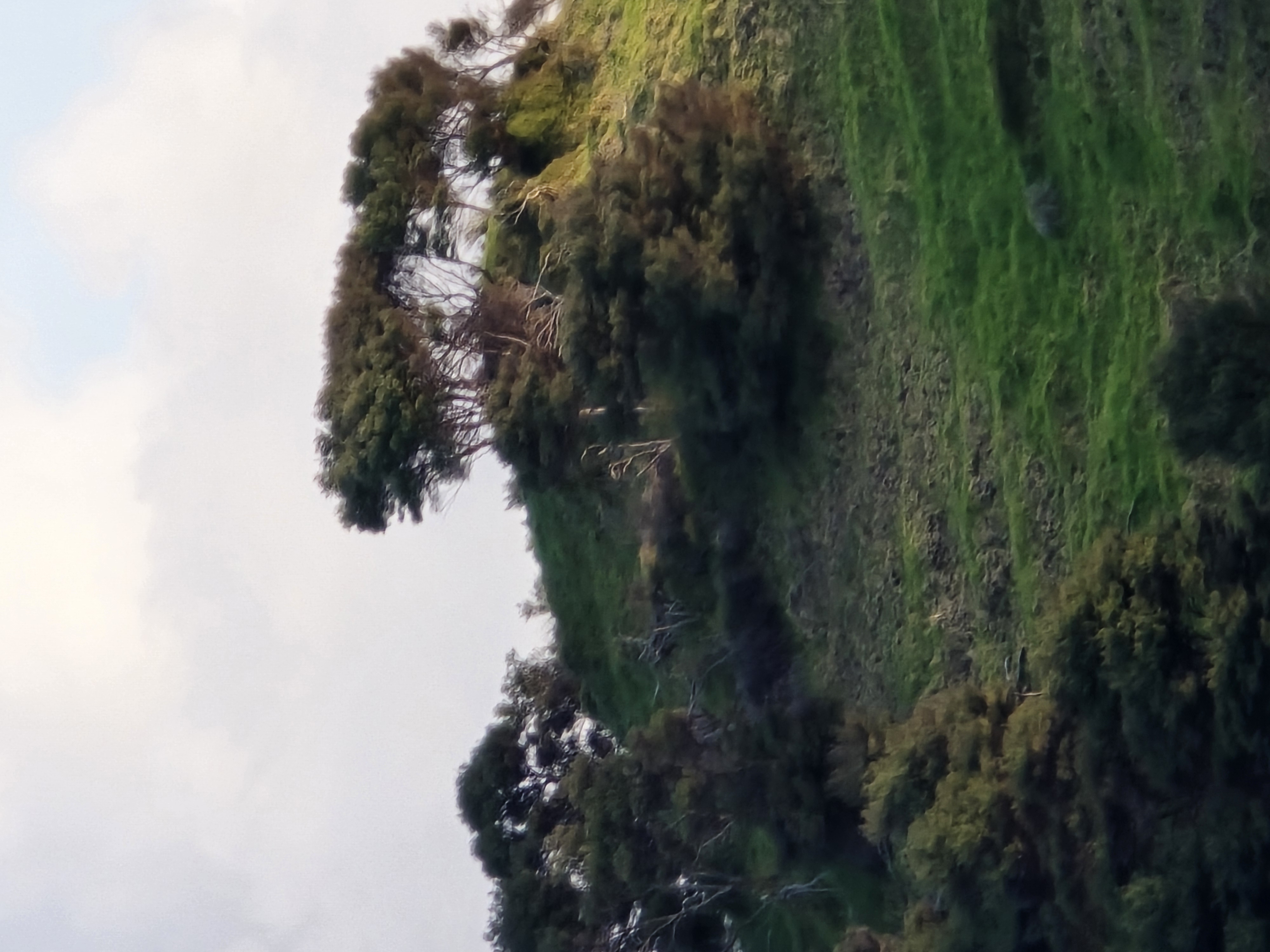 20241001_183549.jpg