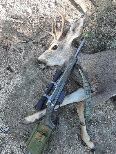 2022 Buck 1.jpg