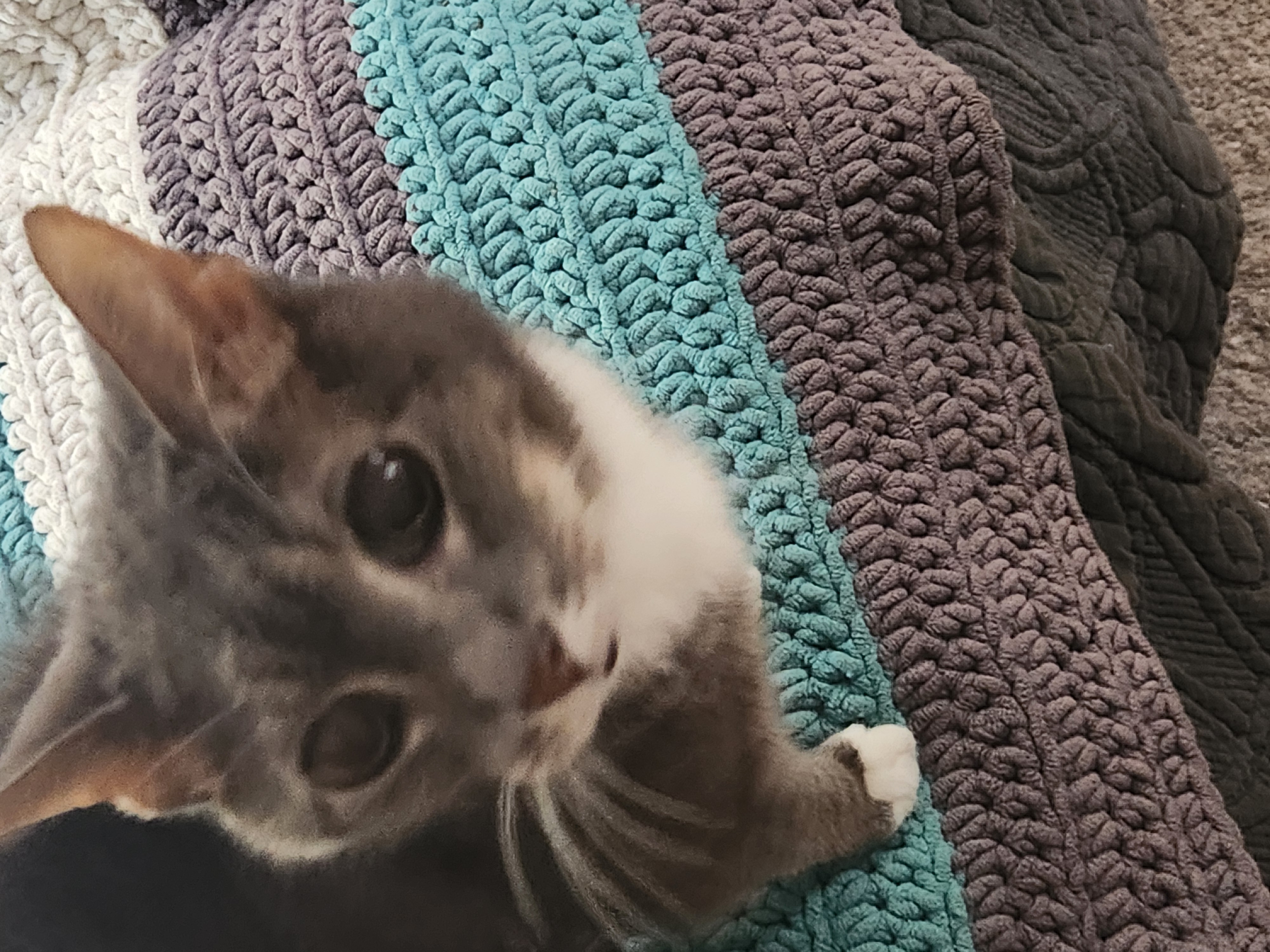 20240922_105108.jpg