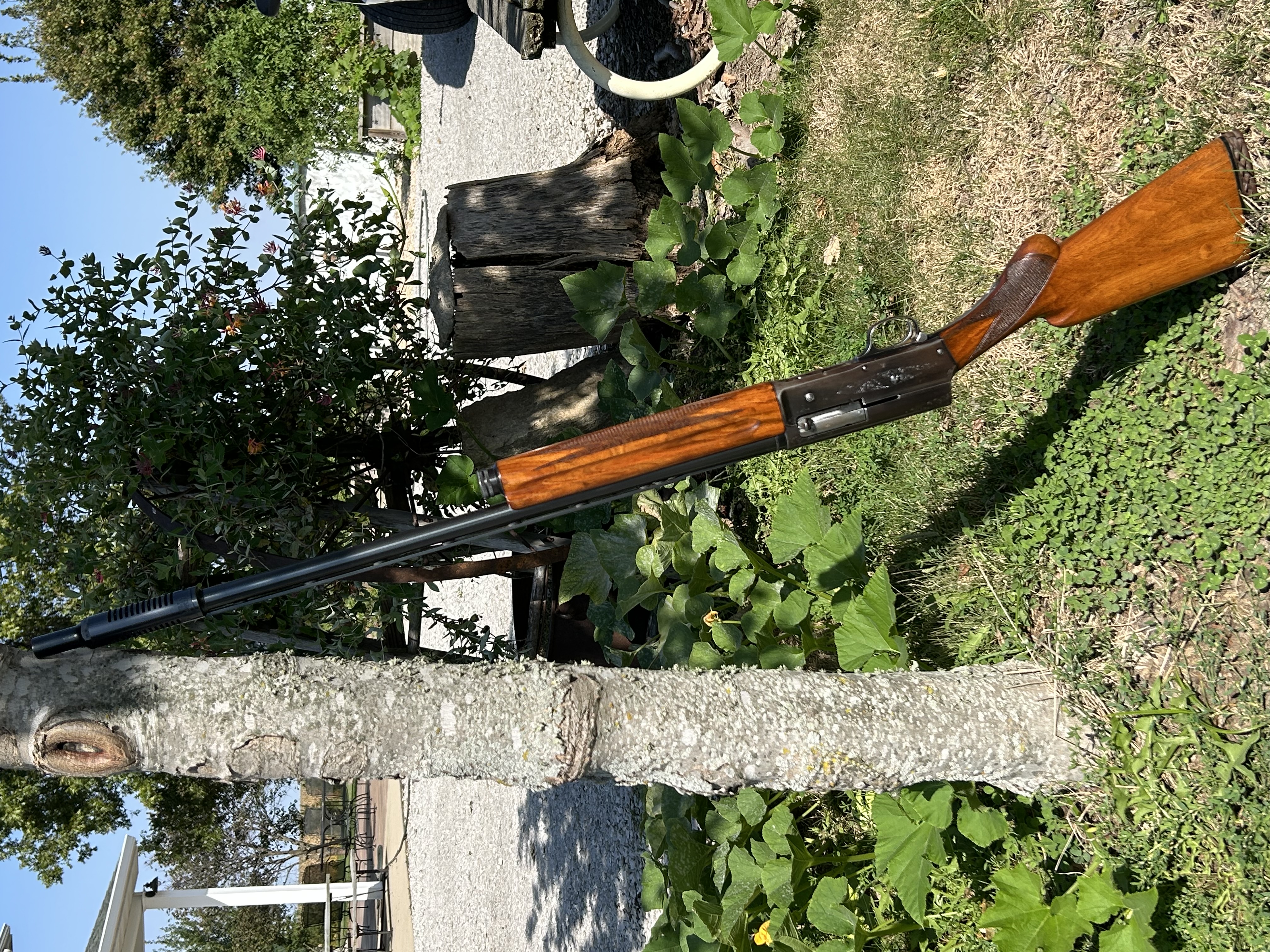 IMG_0573.jpeg