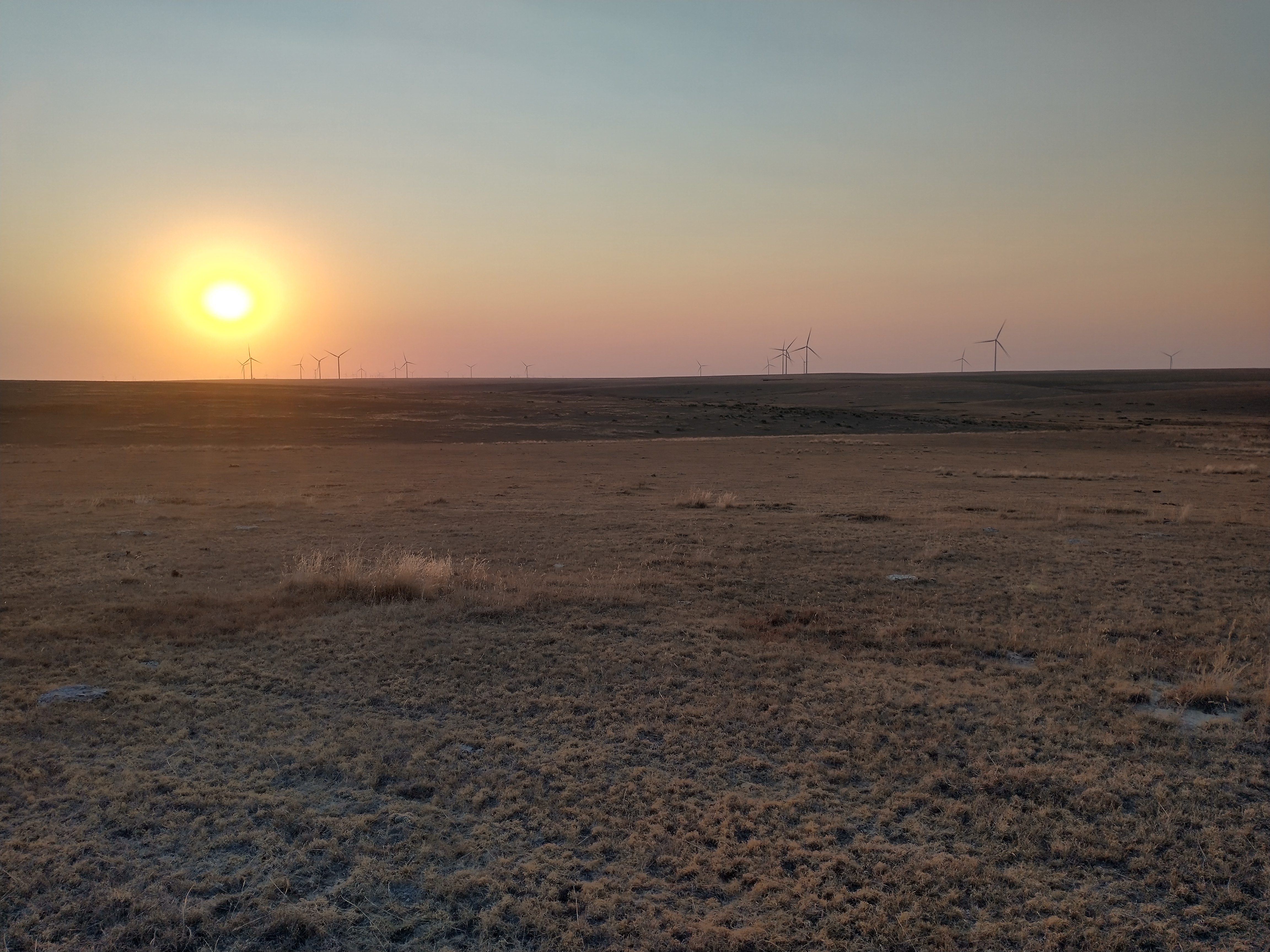 IMG_20241007_175442214_HDR.jpg