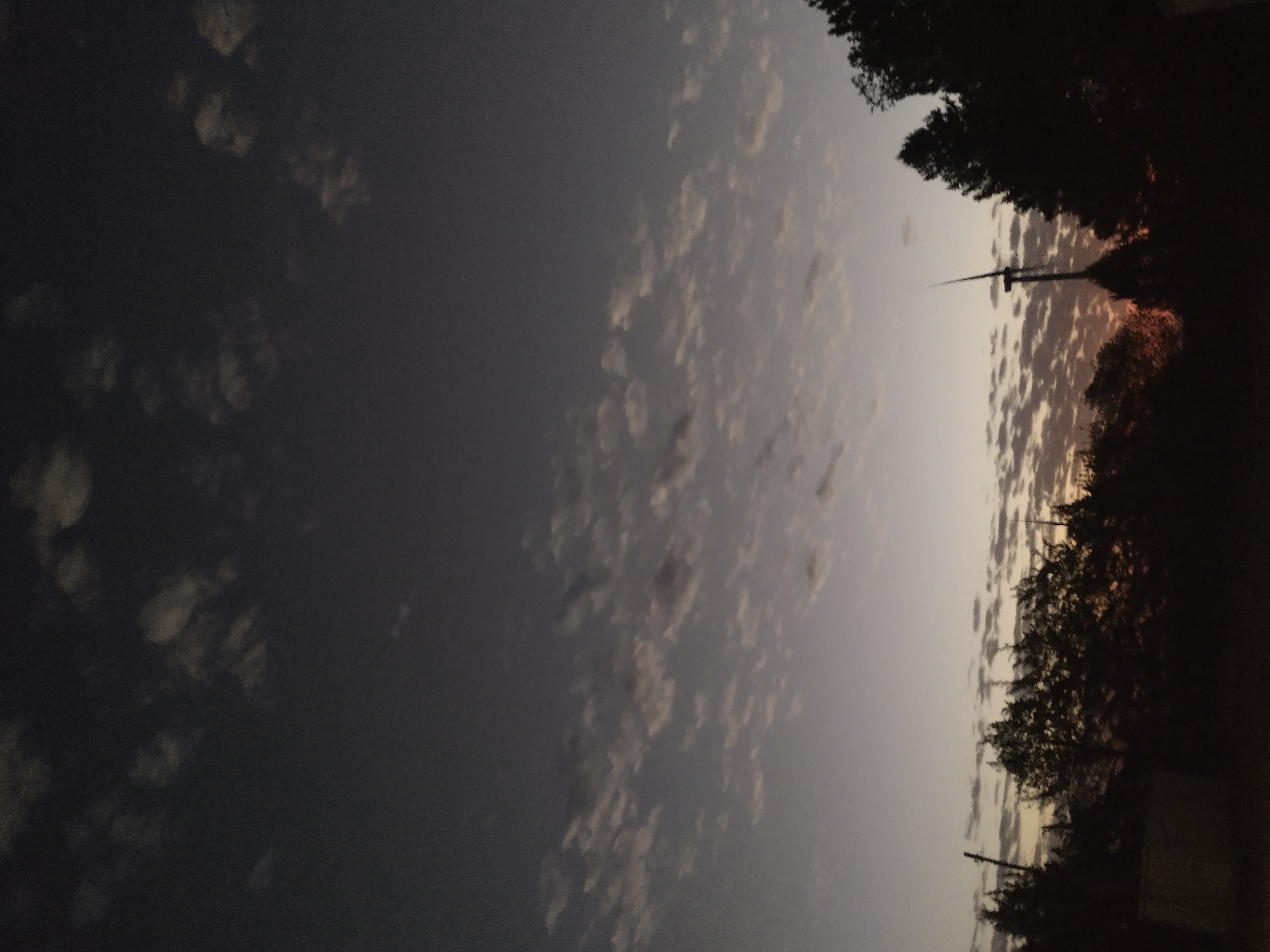 IMG_20241007_061019724_HDR.jpg