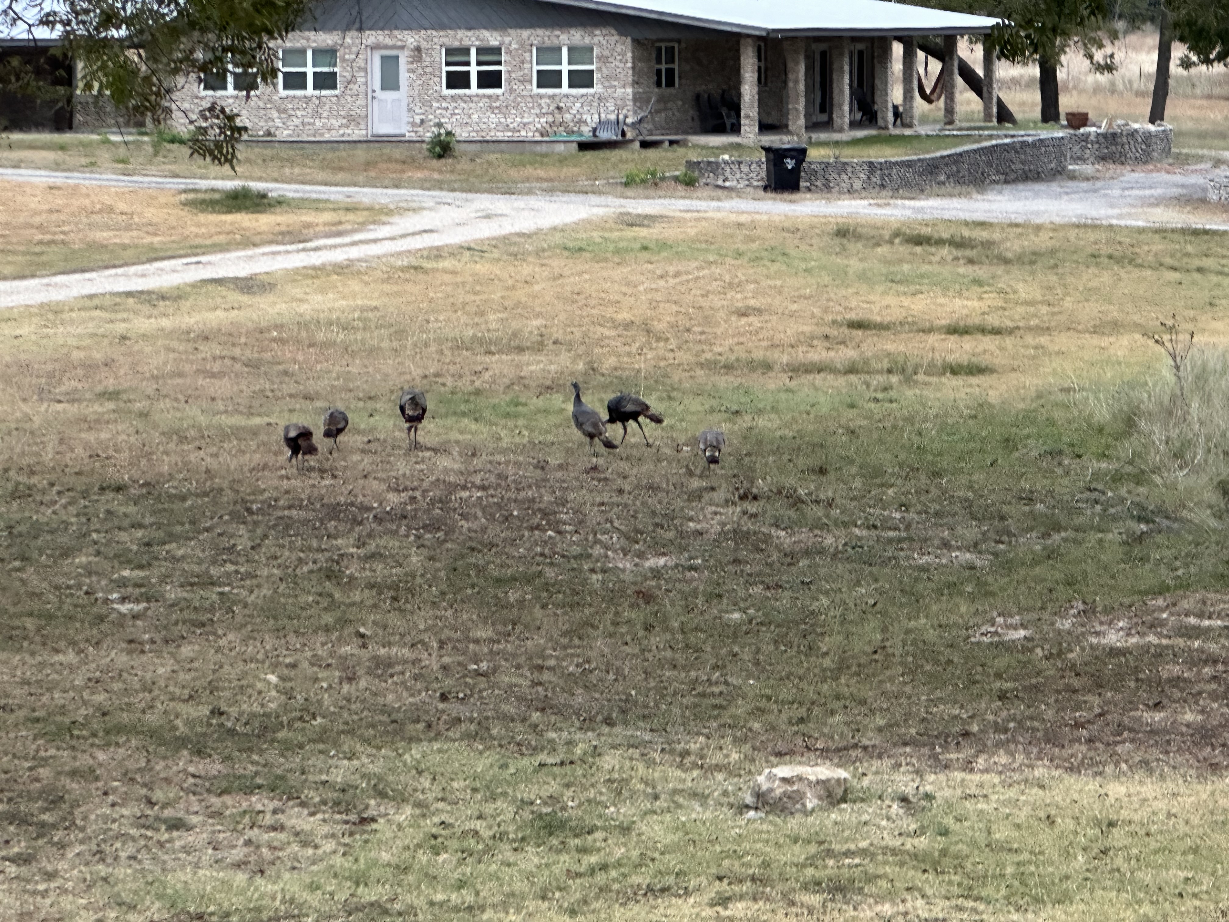 IMG_0810.jpeg