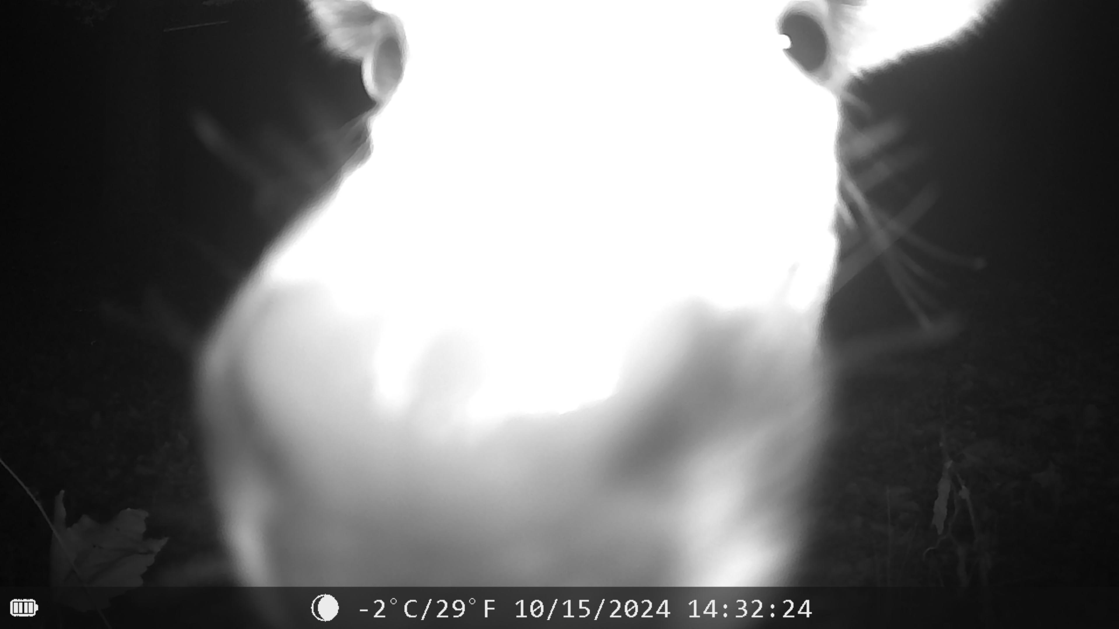 DSCF0053.JPG