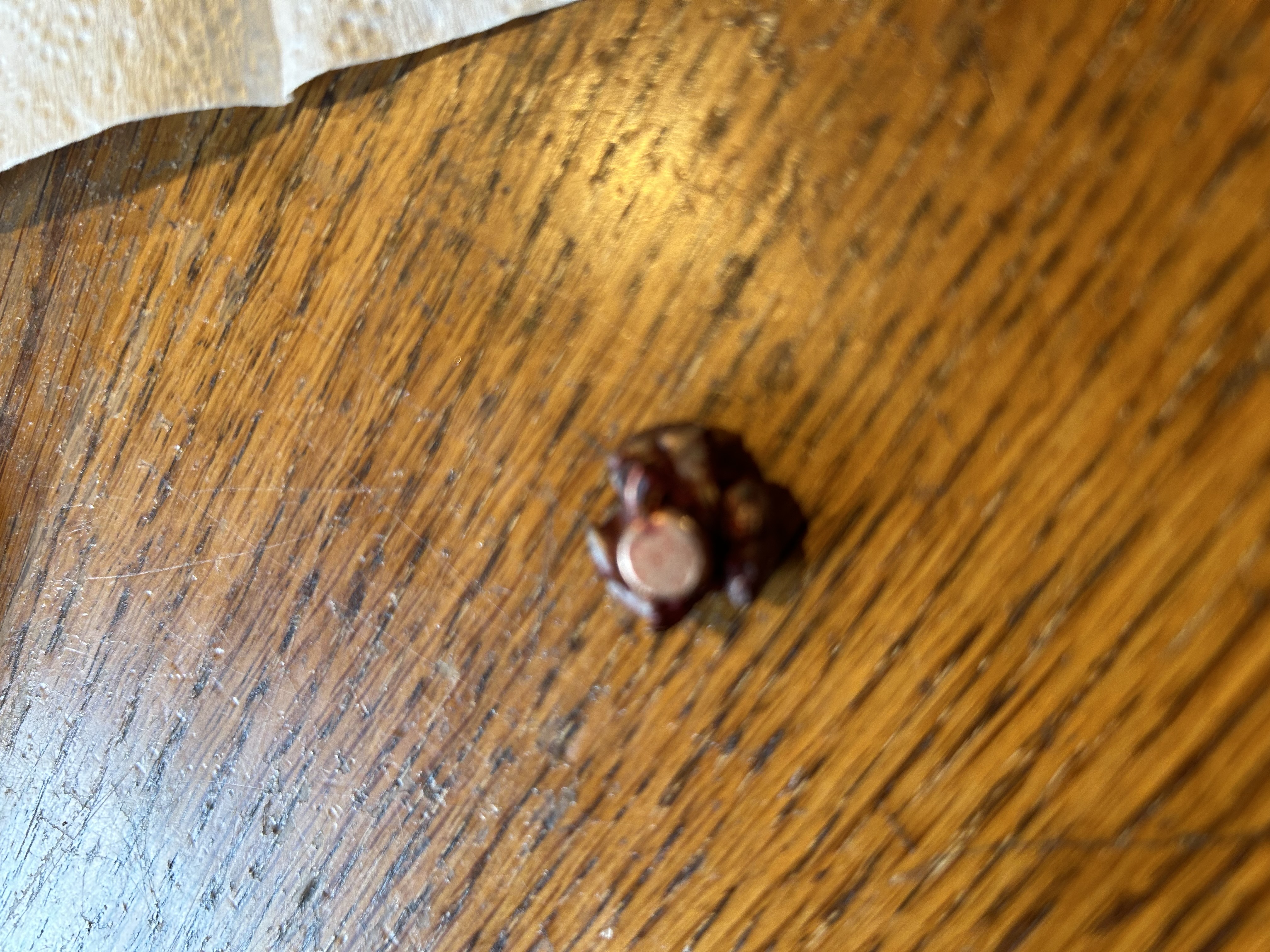 IMG_4681.jpeg