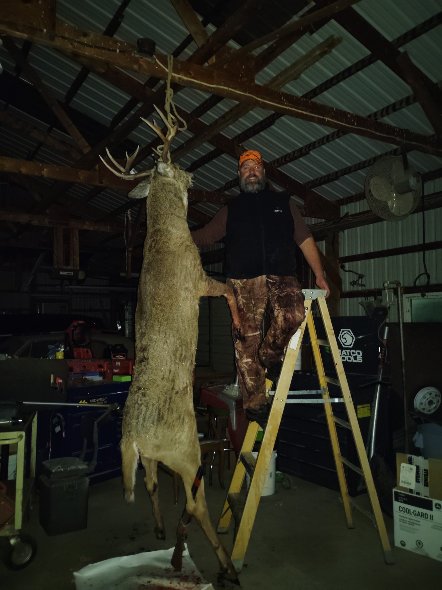jeffs deer.jpg