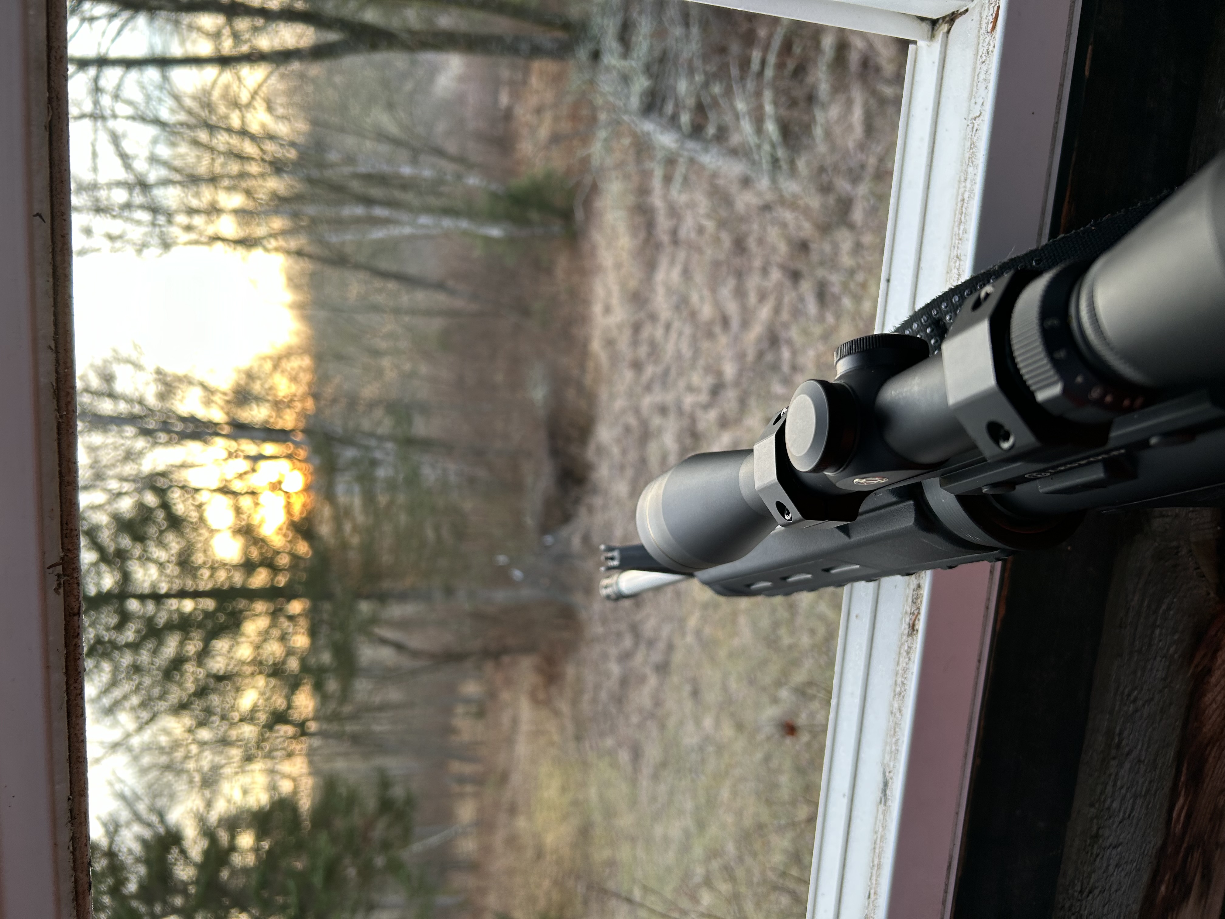 IMG_4702.jpeg