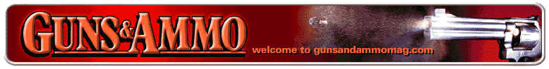banner_top.gif