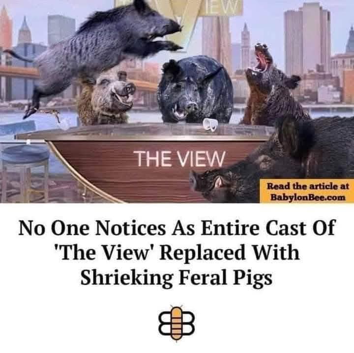 FB_IMG_1734445521370.jpg