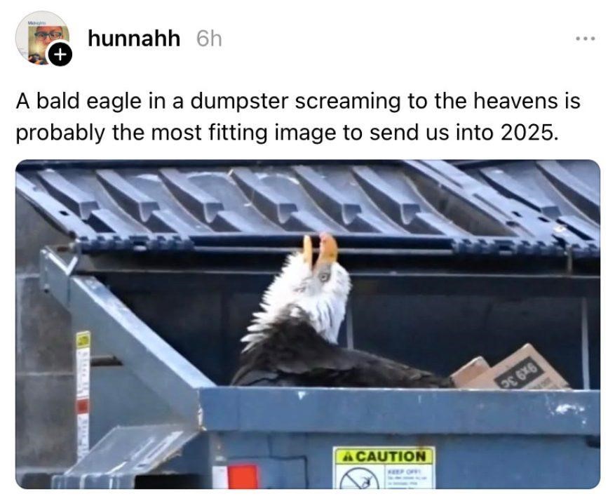 Dumpster Eagle.jpeg