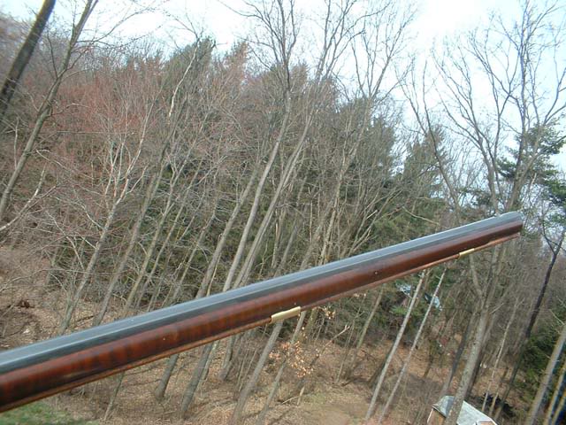 barngun3.jpg