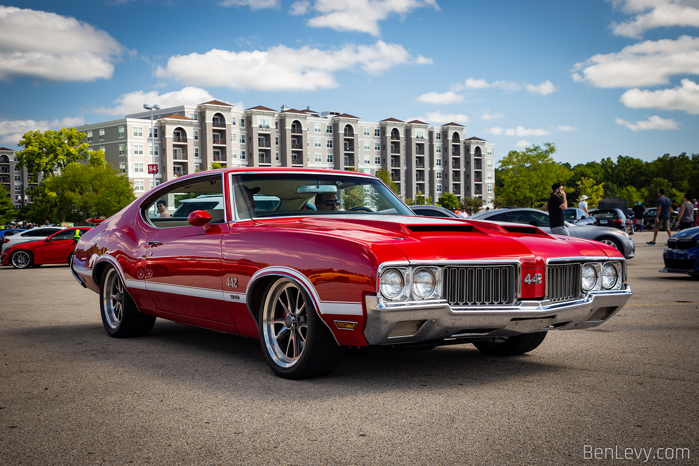 Buick 442.jpg