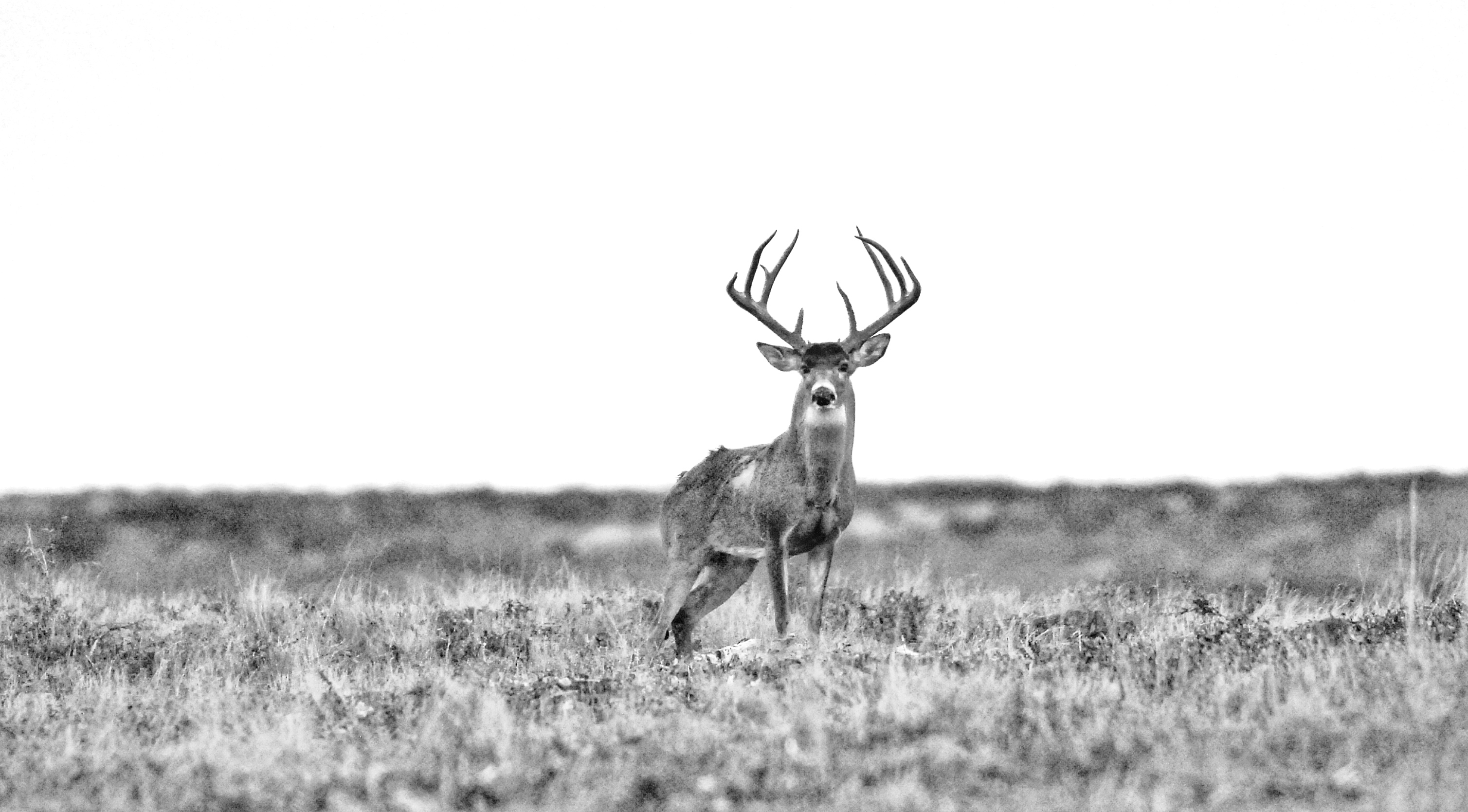 DSC_0046.jpeg