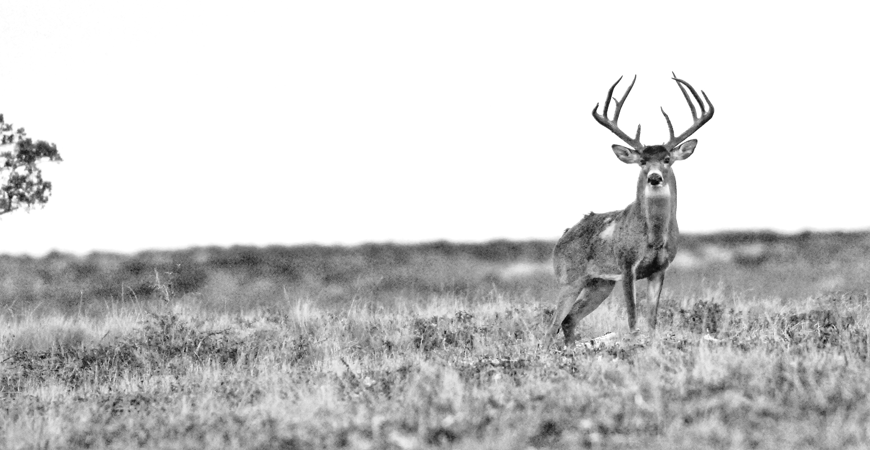 DSC_0048.jpeg