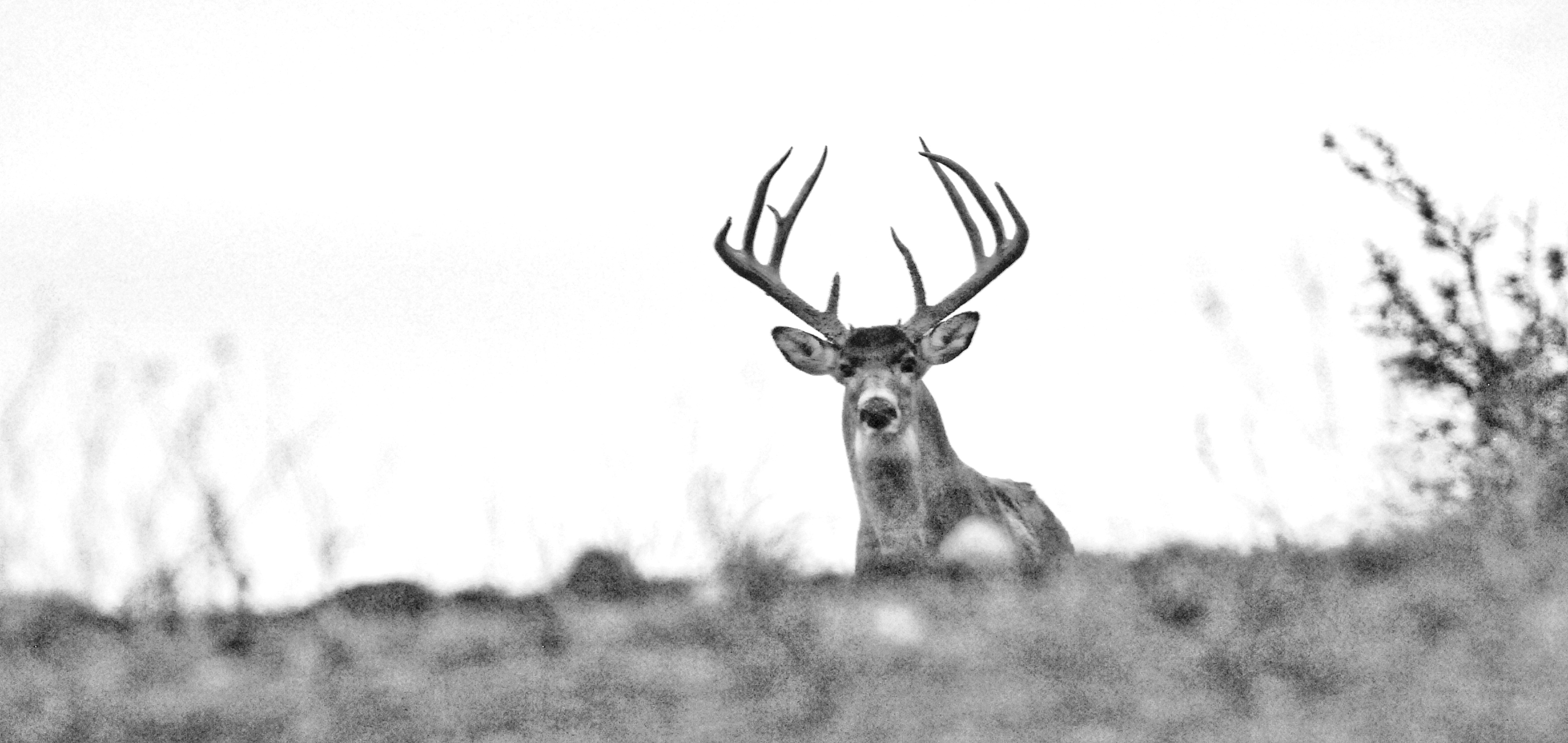 DSC_0059.jpeg