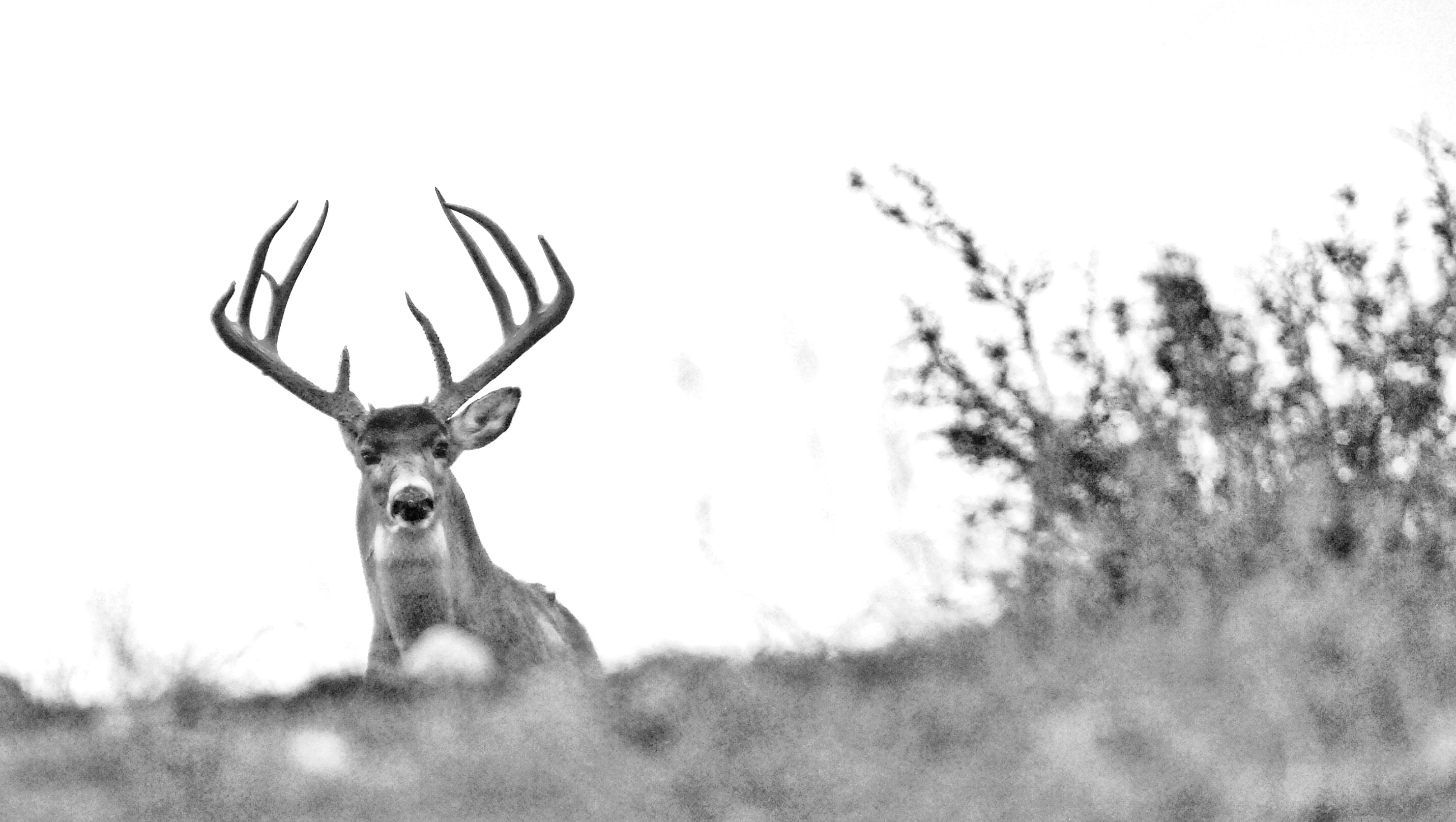 DSC_0062.jpeg