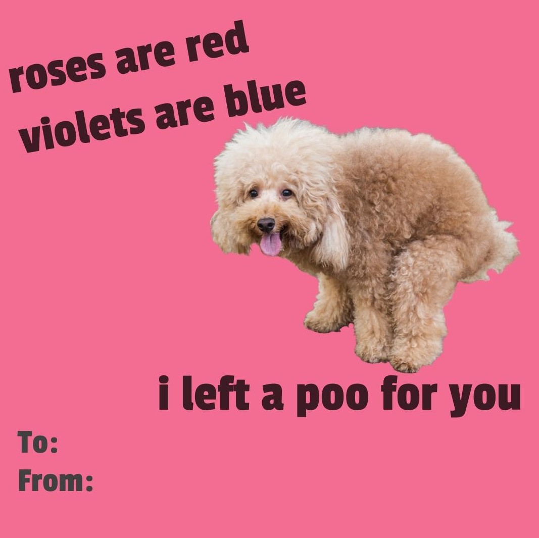 poo.jpg