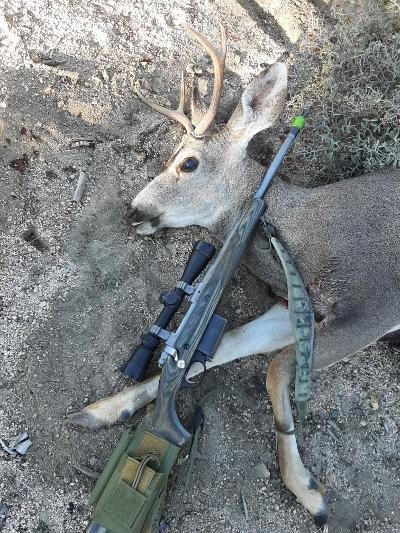 2022 Buck 1.jpeg