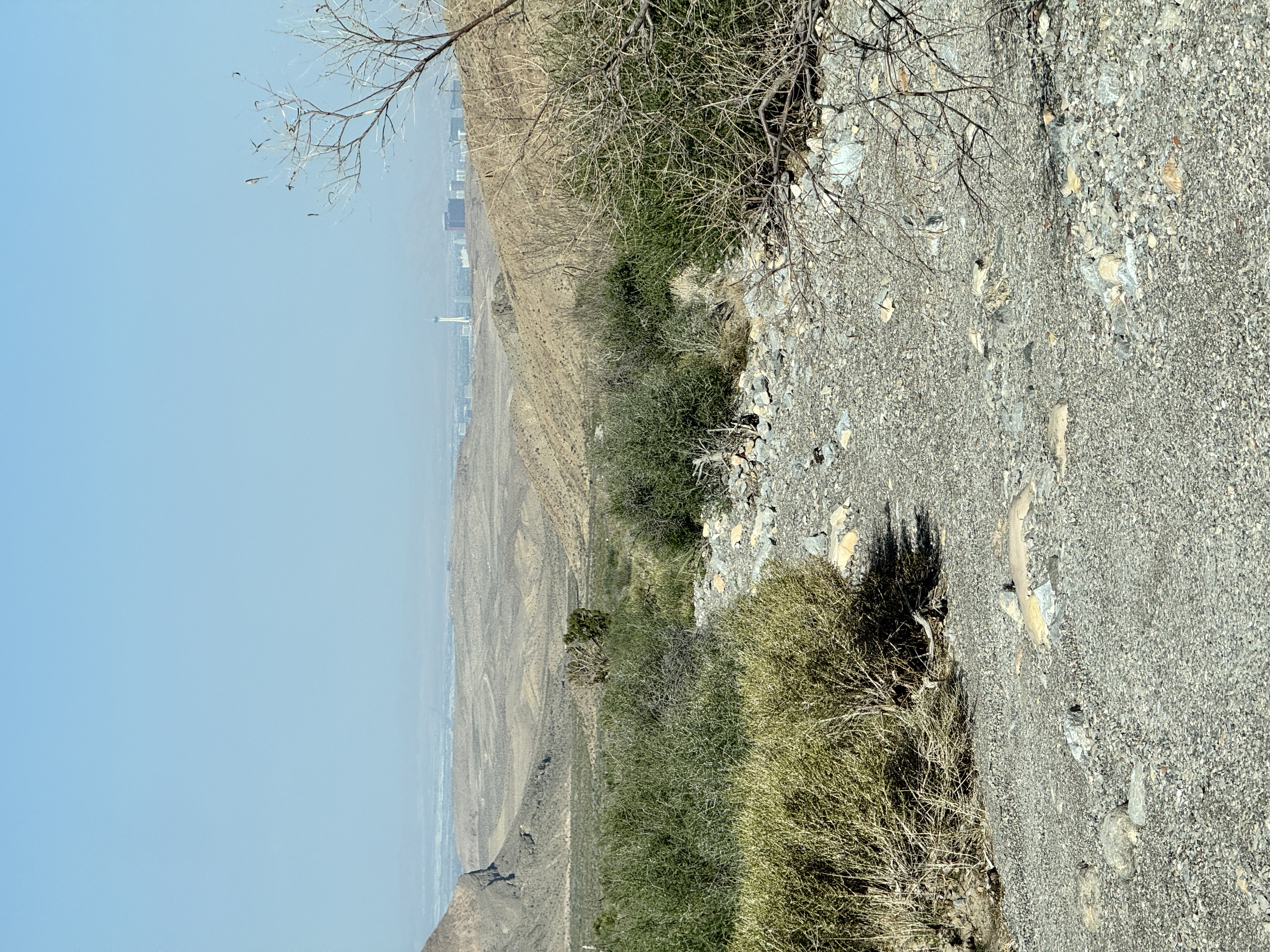 IMG_5881.jpeg