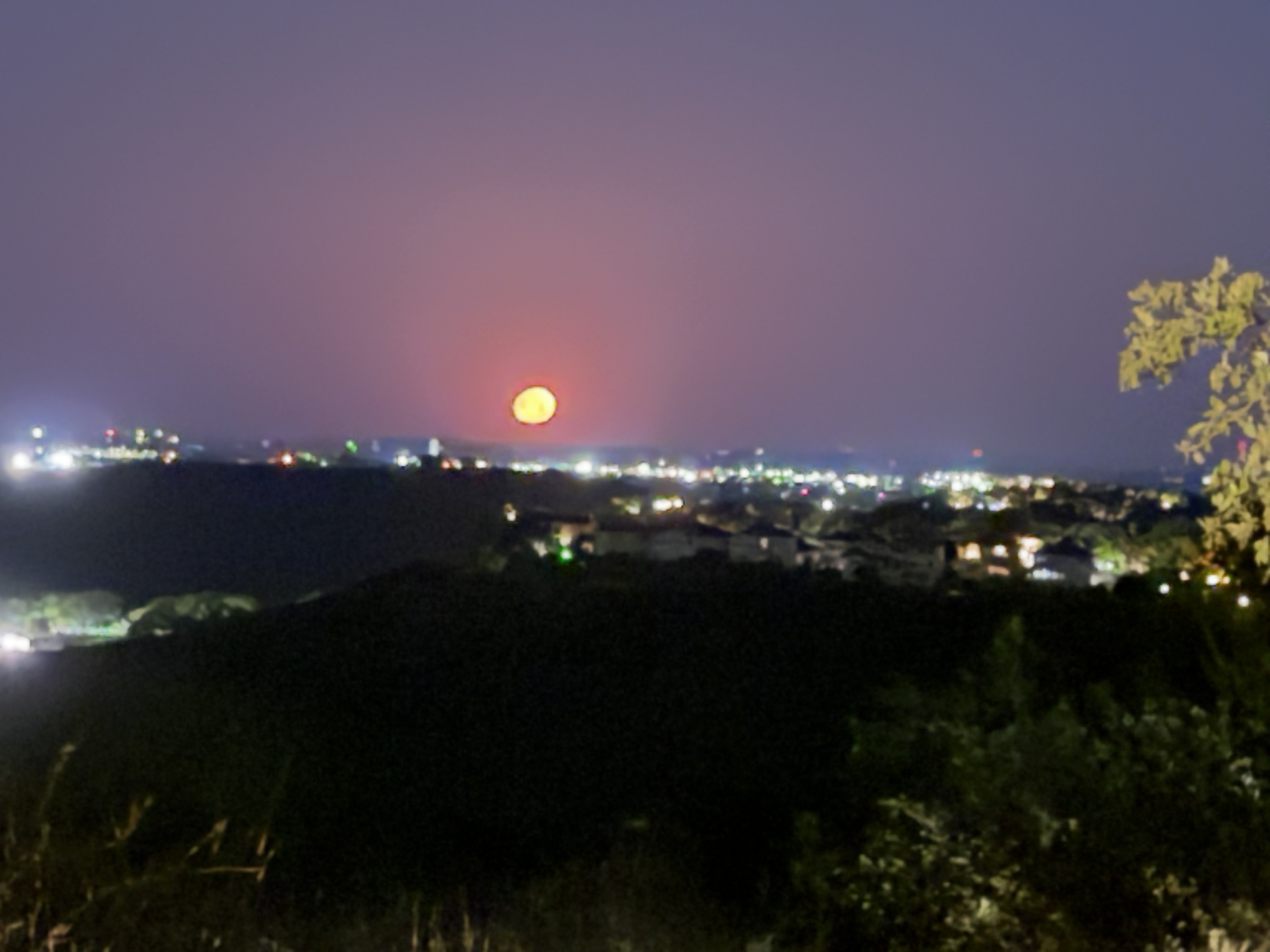 IMG_0667.jpeg