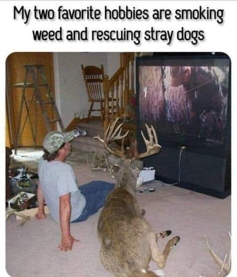 FB_IMG_1745104185034.jpg