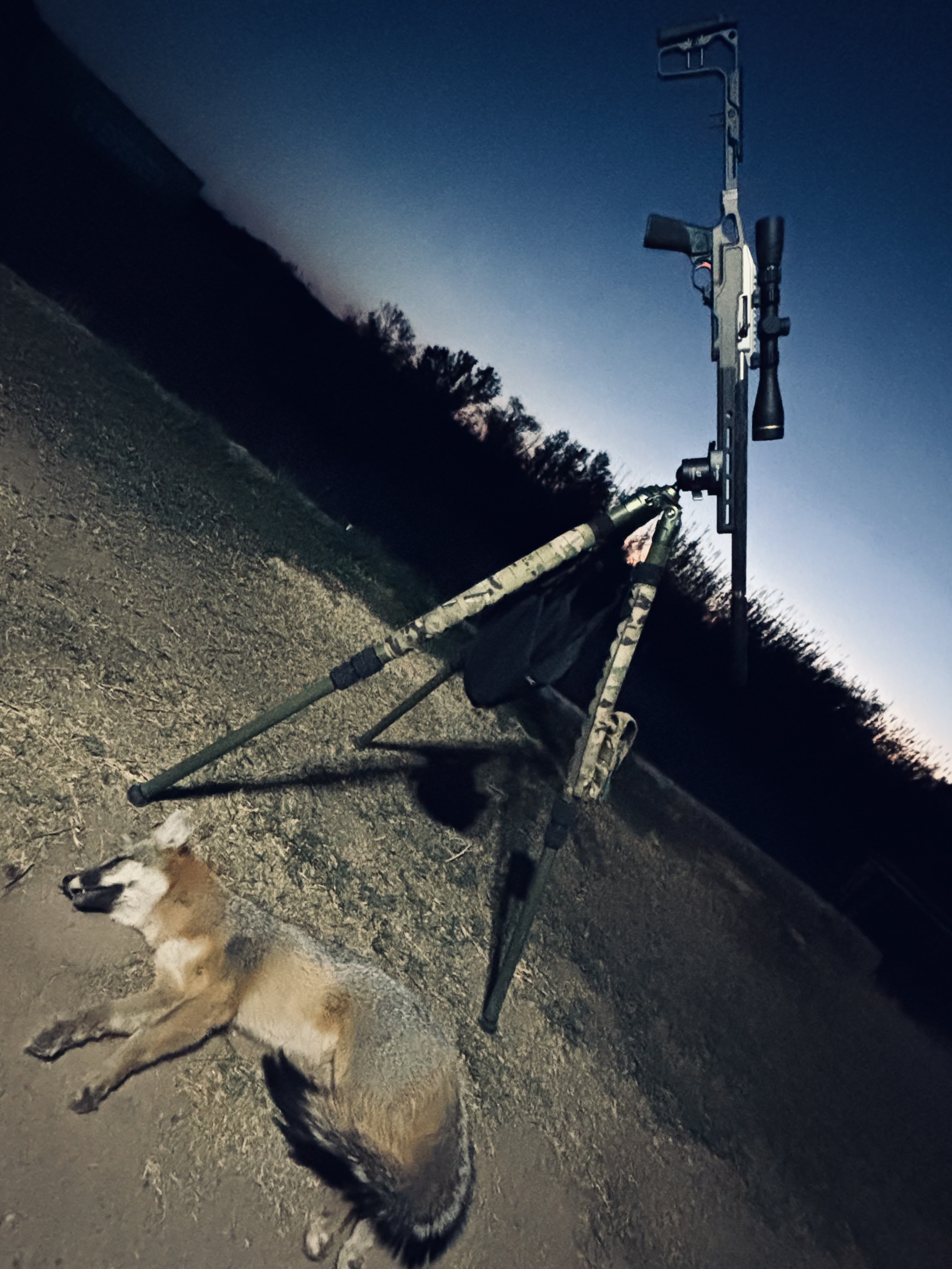 703ED1B3-E197-46B0-9C8D-282013B13838.jpeg