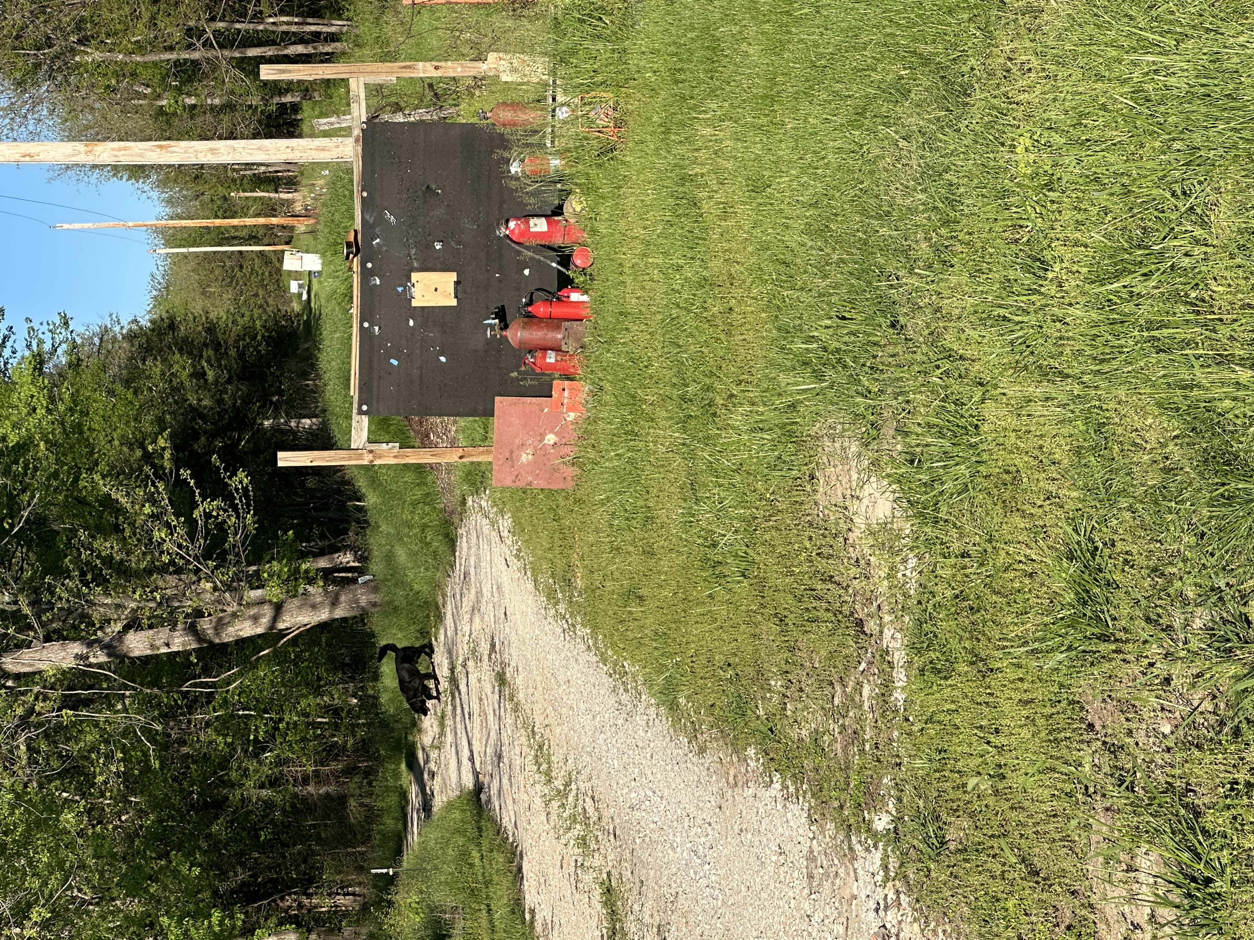 IMG_2342.jpeg