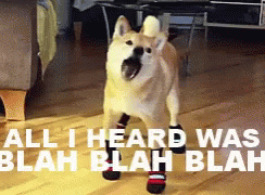 tmp.gif