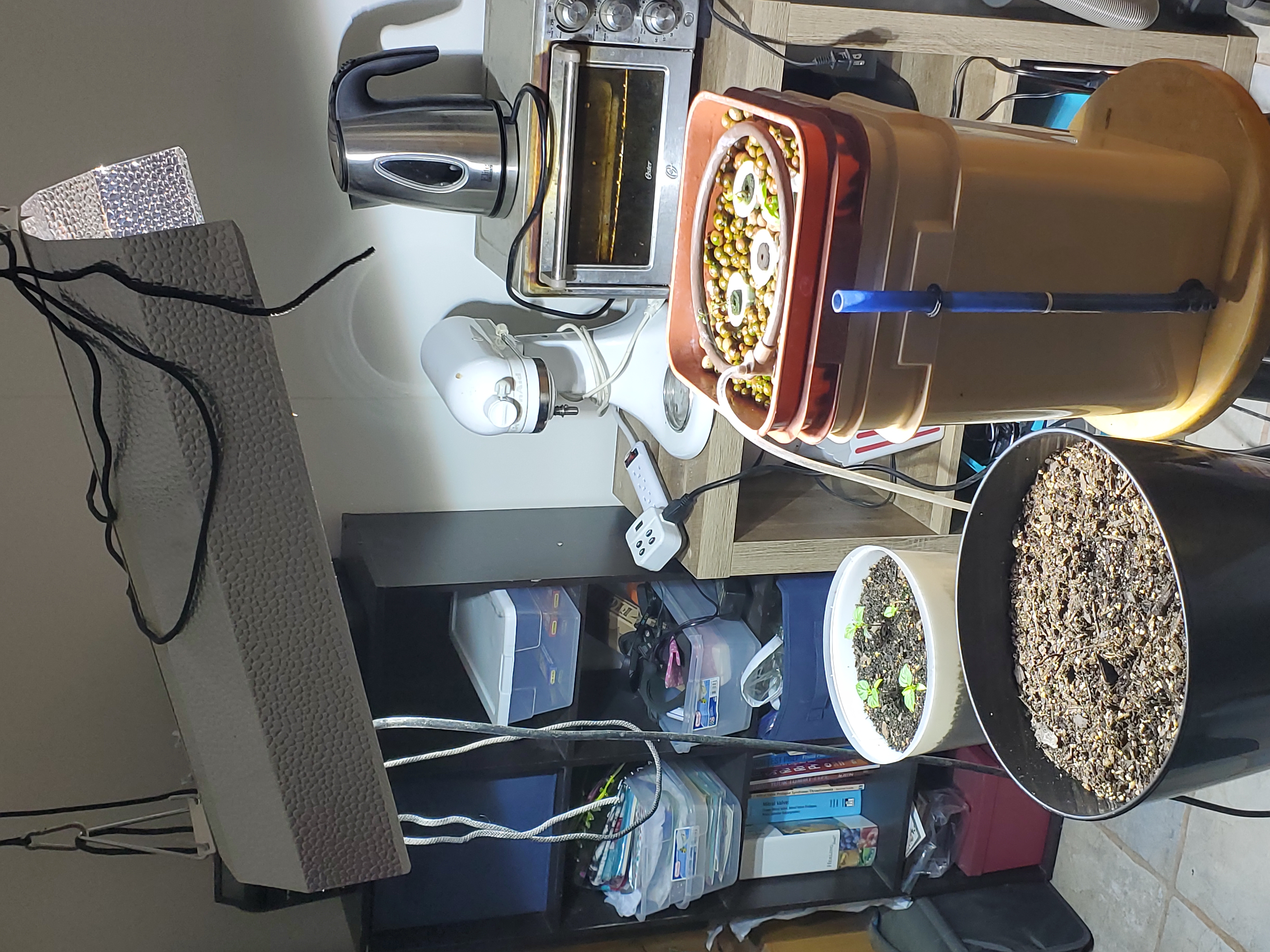 20230703_233507.jpg